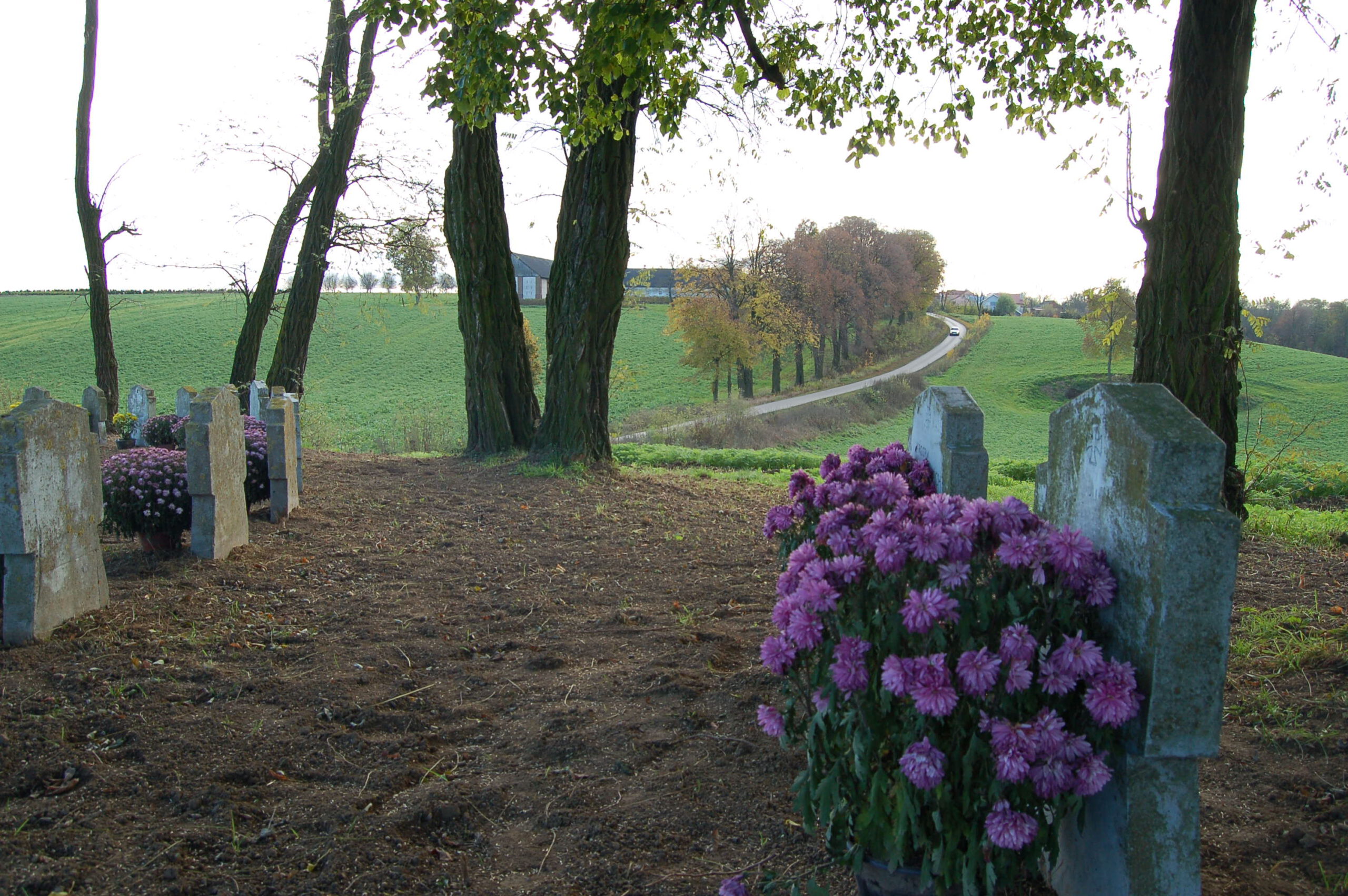 https://test.ugorly.pl/blog/2020/11/18/renowacja-cmentarza-w-drohojowie/7469acf968da9b5563e58df76b7753ce/