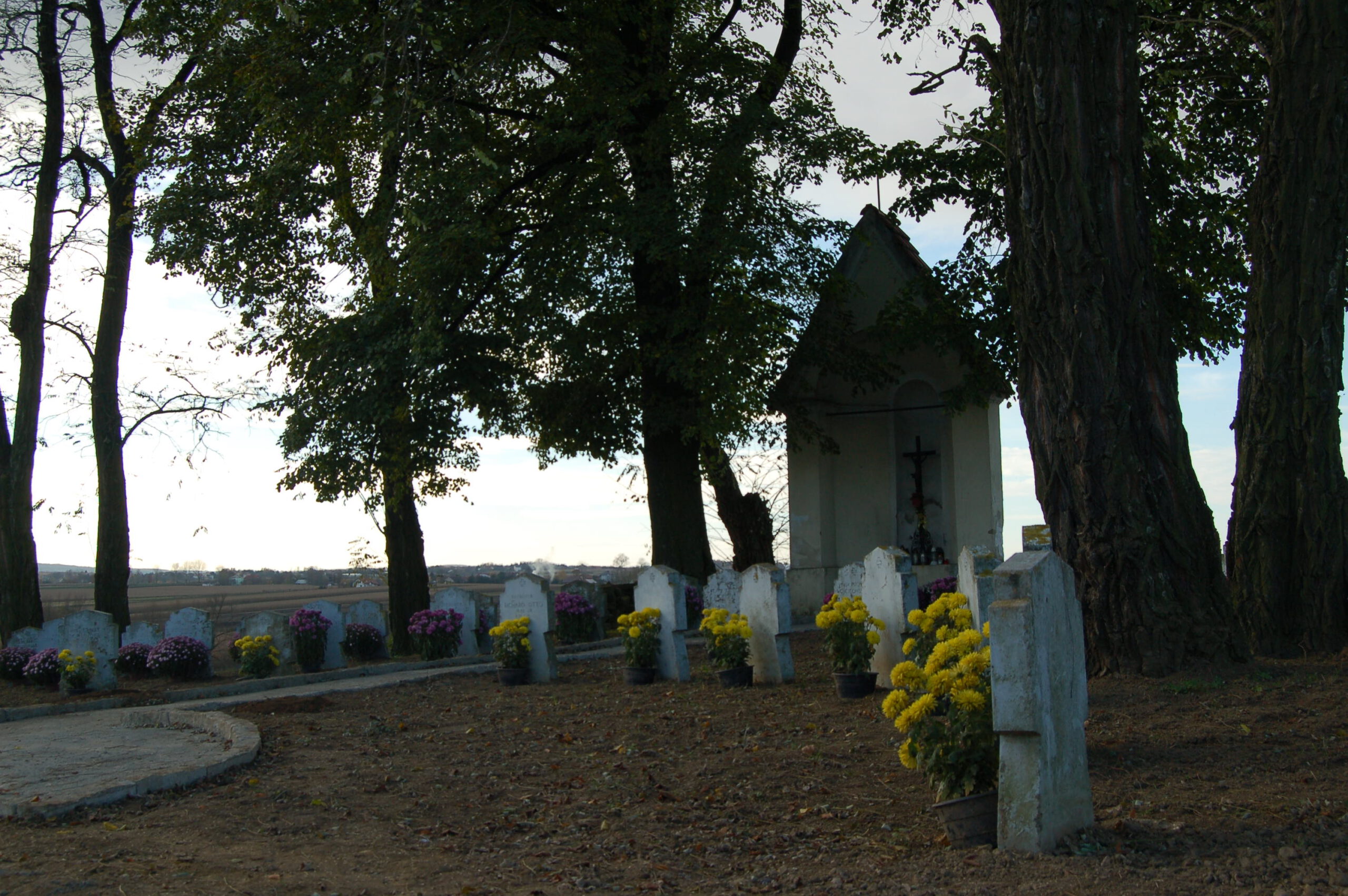 https://test.ugorly.pl/blog/2020/11/18/renowacja-cmentarza-w-drohojowie/d530d6e24fdd59484c1ee17cba5b98db/