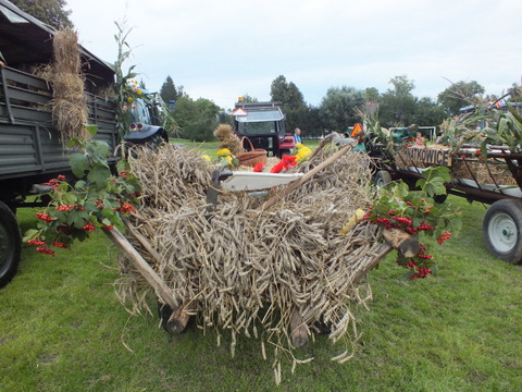 https://test.ugorly.pl/blog/2014/09/01/dozynki-gminne-2014-2/p190o3kfij16lk1fpfhpm1nrd1i331t/