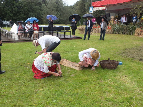 https://test.ugorly.pl/blog/2014/09/01/dozynki-gminne-2014-2/p190o3kfij1lsm6nkpi954b10782c/