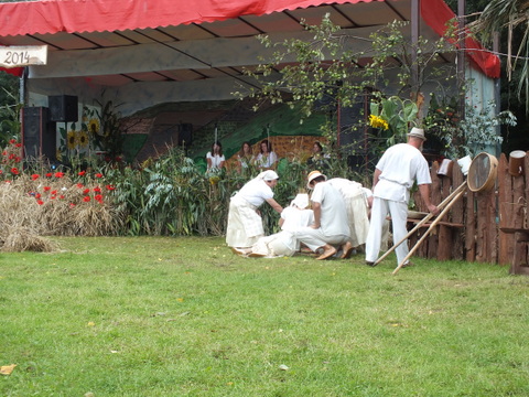https://test.ugorly.pl/blog/2014/09/01/dozynki-gminne-2014-2/p190o3kfij2t1hgi6431iepda10/