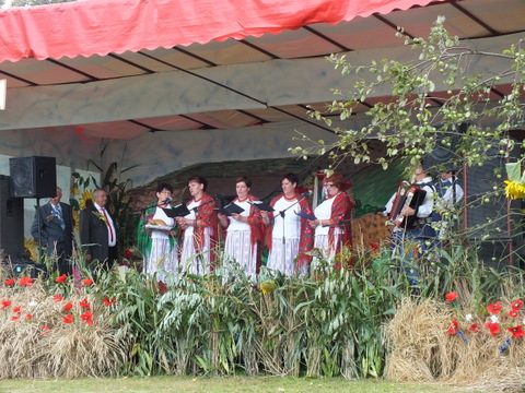 https://test.ugorly.pl/blog/2014/09/01/dozynki-gminne-2014-2/p190o3kfijccs1a0dhbp13bm9ad19/