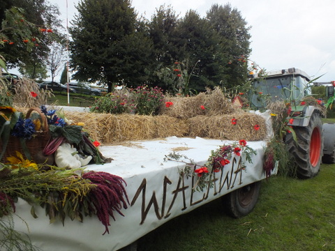 https://test.ugorly.pl/blog/2014/09/01/dozynki-gminne-2014-2/p190o3kfijf6i13c614av1edm1cjk21/