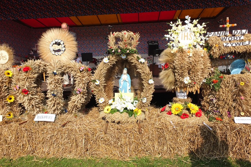 https://test.ugorly.pl/blog/2016/08/26/dozynki-gminne-w-zadabrowiu/p1ar38rilh11831i0kcohbisvvv1o/