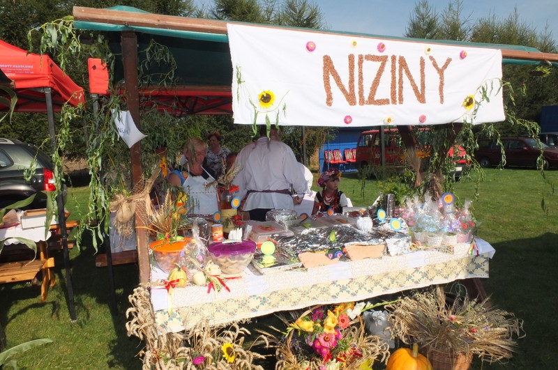 https://test.ugorly.pl/blog/2016/08/26/dozynki-gminne-w-zadabrowiu/p1ar38rilh1rg51p9p1gh5c1g1fen1i/