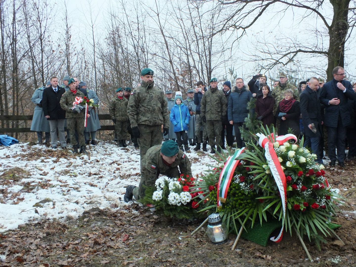https://test.ugorly.pl/blog/2019/01/17/pochowek-wegierskiego-zolnierza-na-cmentarzuwojennym-w-hantkowicach/p1d1doe8766j51p081ub31ke01siv11/