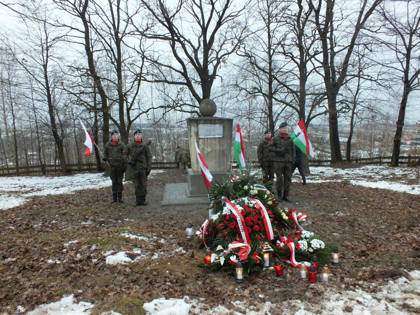 https://test.ugorly.pl/blog/2019/01/17/pochowek-wegierskiego-zolnierza-na-cmentarzuwojennym-w-hantkowicach/p1d1doe876c11q711rkd2gt183115/