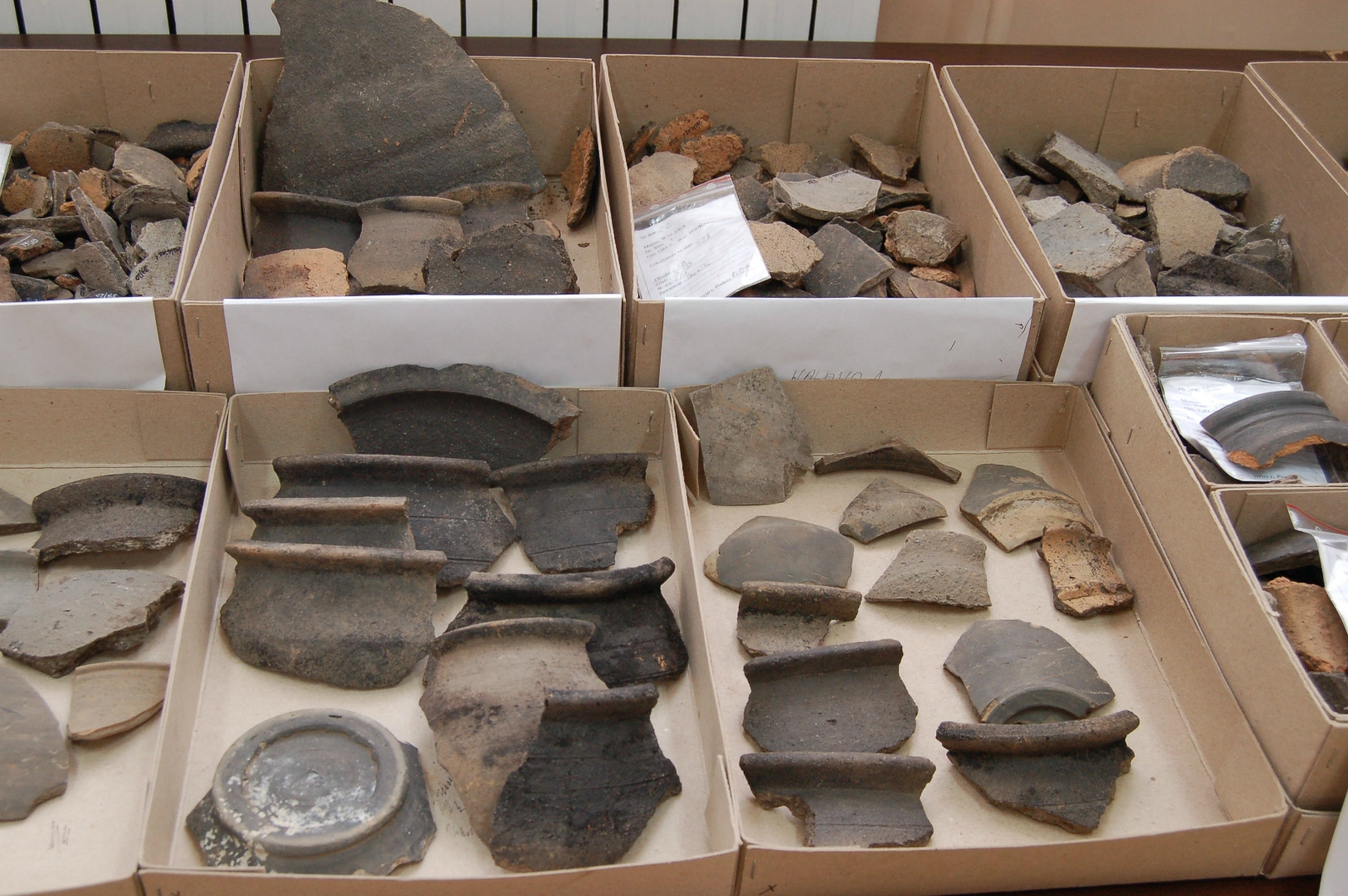 https://test.ugorly.pl/blog/2020/12/08/odkrycia-archeologiczne-w-walawie/p1ep128ekf3q21a1h11hf1tjp1in3p/