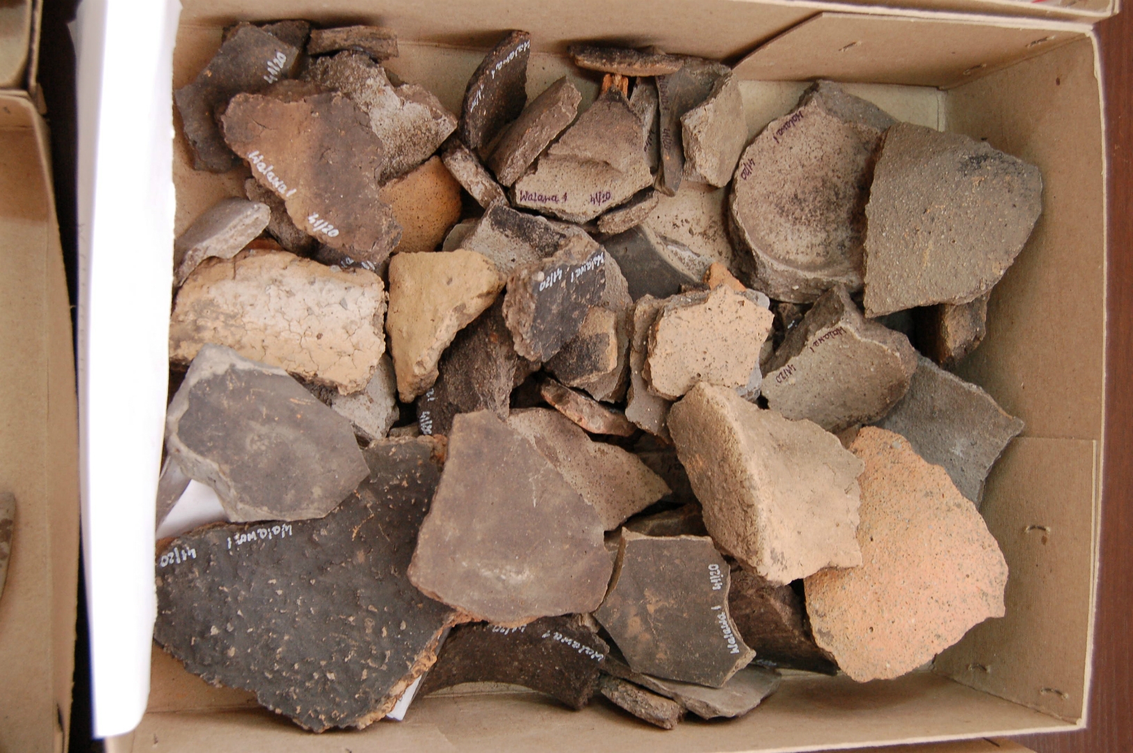 https://test.ugorly.pl/blog/2020/12/08/odkrycia-archeologiczne-w-walawie/p1ep128ekf4aqcna1u7712scvhit/