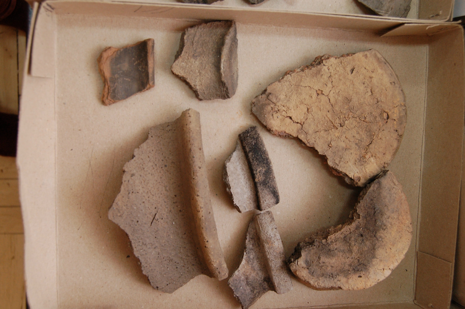 https://test.ugorly.pl/blog/2020/12/08/odkrycia-archeologiczne-w-walawie/p1ep128ekf7bpmpg1anpjtga4b11/