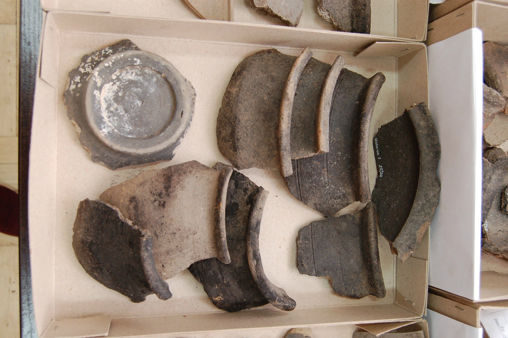 https://test.ugorly.pl/blog/2020/12/08/odkrycia-archeologiczne-w-walawie/p1ep128ekfdqgl529eq1a46bc0u/