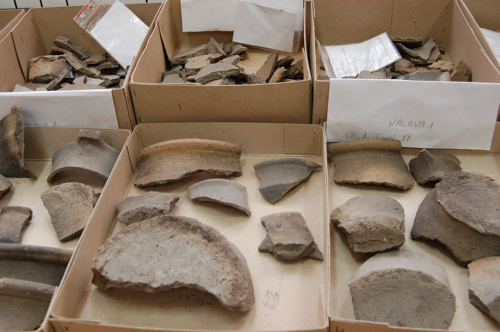 https://test.ugorly.pl/blog/2020/12/08/odkrycia-archeologiczne-w-walawie/p1ep128ekff331smr903153sfkv10/