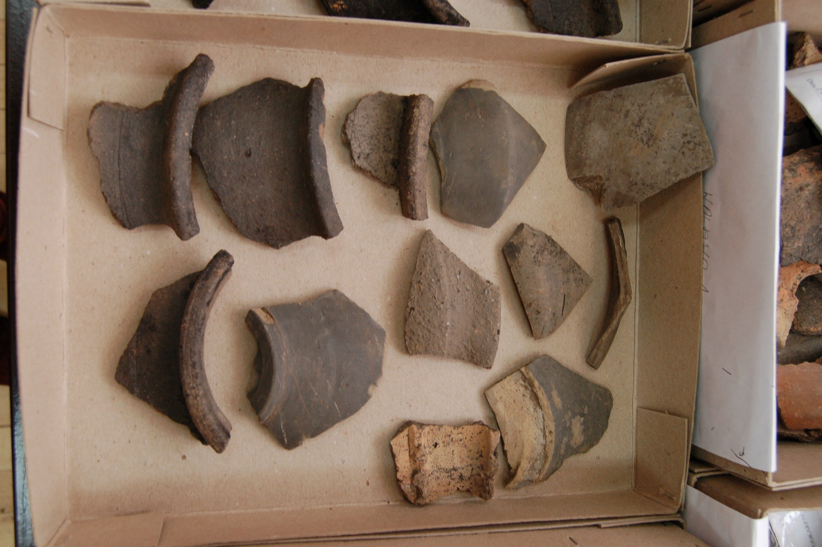 https://test.ugorly.pl/blog/2020/12/08/odkrycia-archeologiczne-w-walawie/p1ep128ekfg9v1qlh1qrd21v1h4nv/