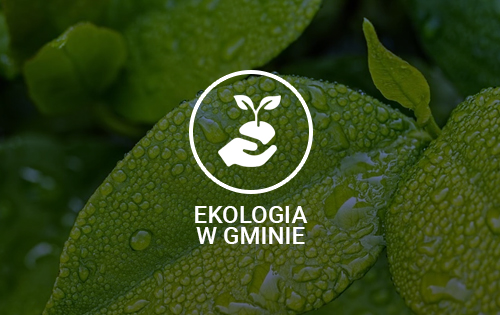 ekologia